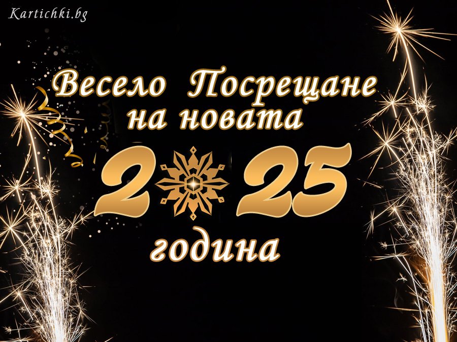 Весело Посрещане на 2025